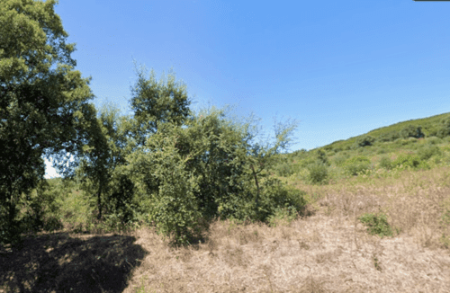 PF37817 - Terreno 8.3 ha, Oeiras - Imagem 7