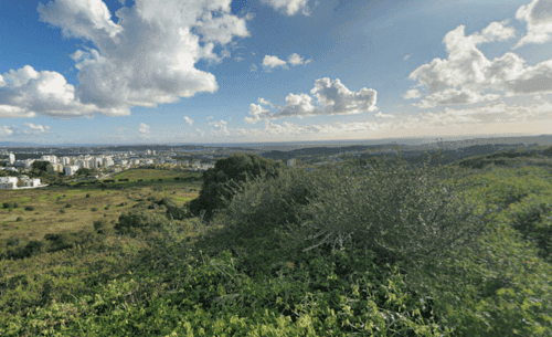 PF37817 - Terreno 8.3 ha, Oeiras - Imagem 11