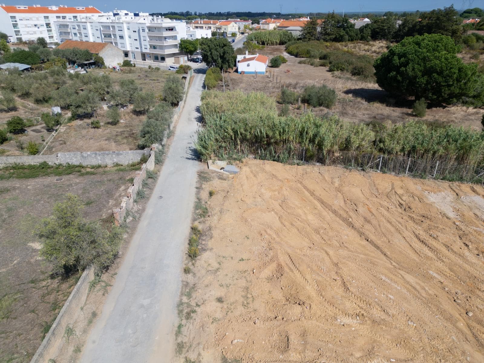 Lote 244 m2, Grandola - Imagem 4