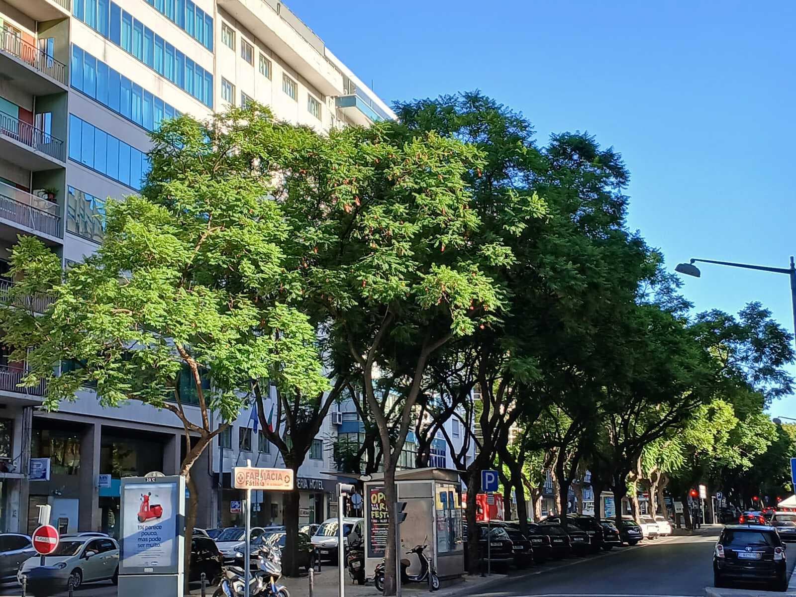 Apartamento T3 com vista, Avenidas Novas, Lisboa - Imagem 27