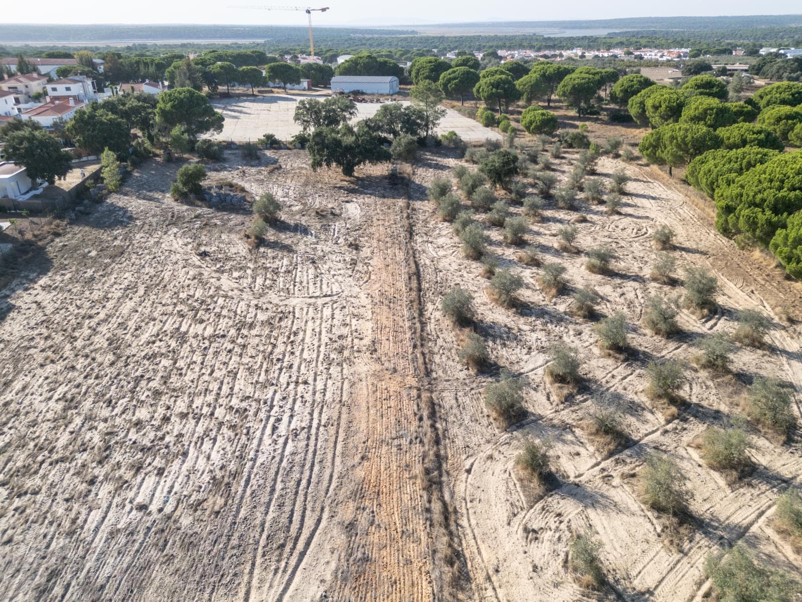 Terreno Misto 1.5 ha, Alcácer do Sal, Alcacer do Sal - Imagem 2