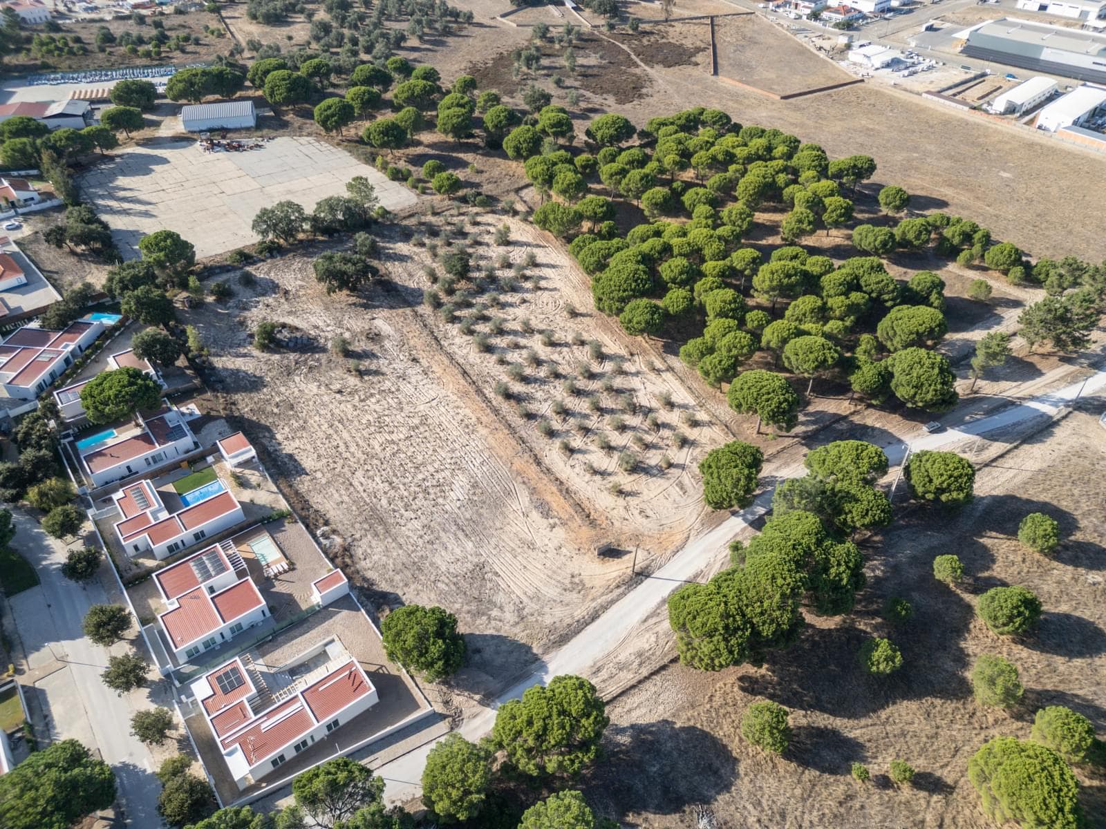 Terreno Misto 1.5 ha, Alcácer do Sal, Alcacer do Sal - Imagem 1