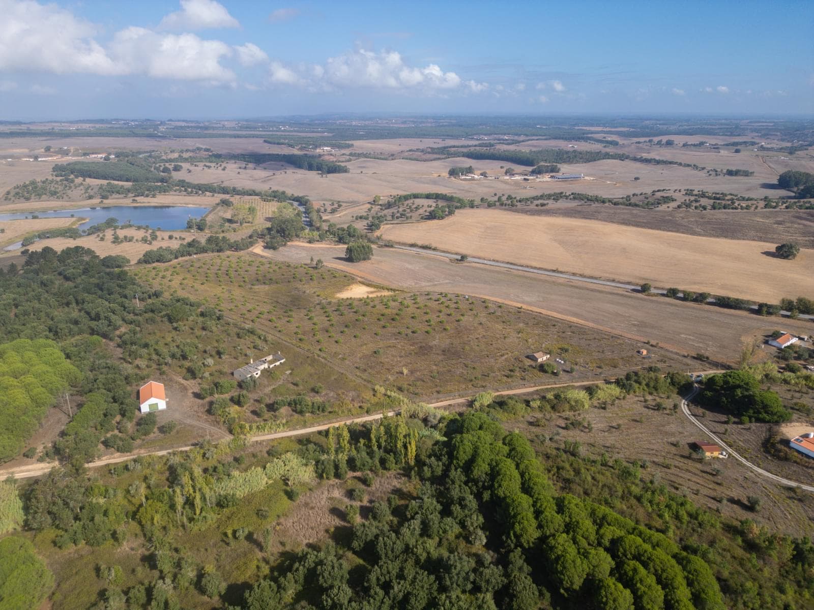 Terreno Misto 5.2 ha, Cercal do Alentejo, Santiago do Cacem - Imagem 6