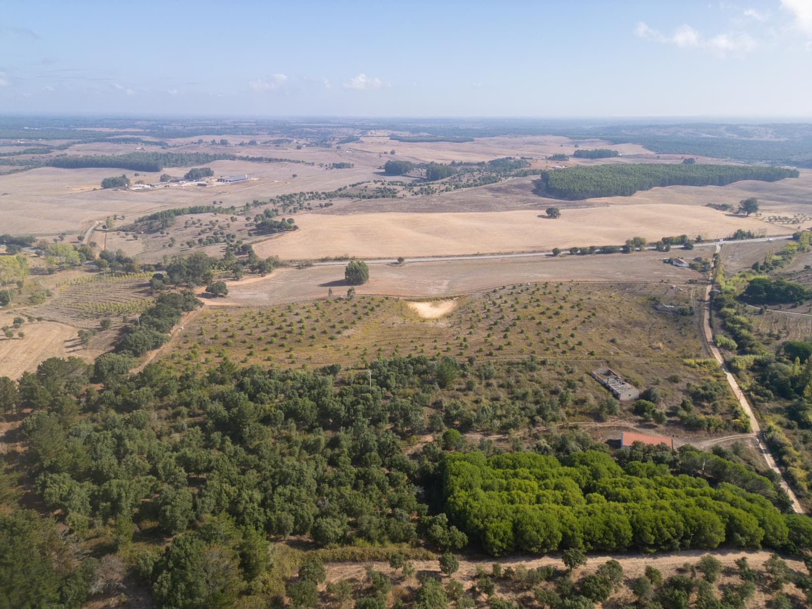 Terreno Misto 5.2 ha, Cercal do Alentejo, Santiago do Cacem - Imagem 11