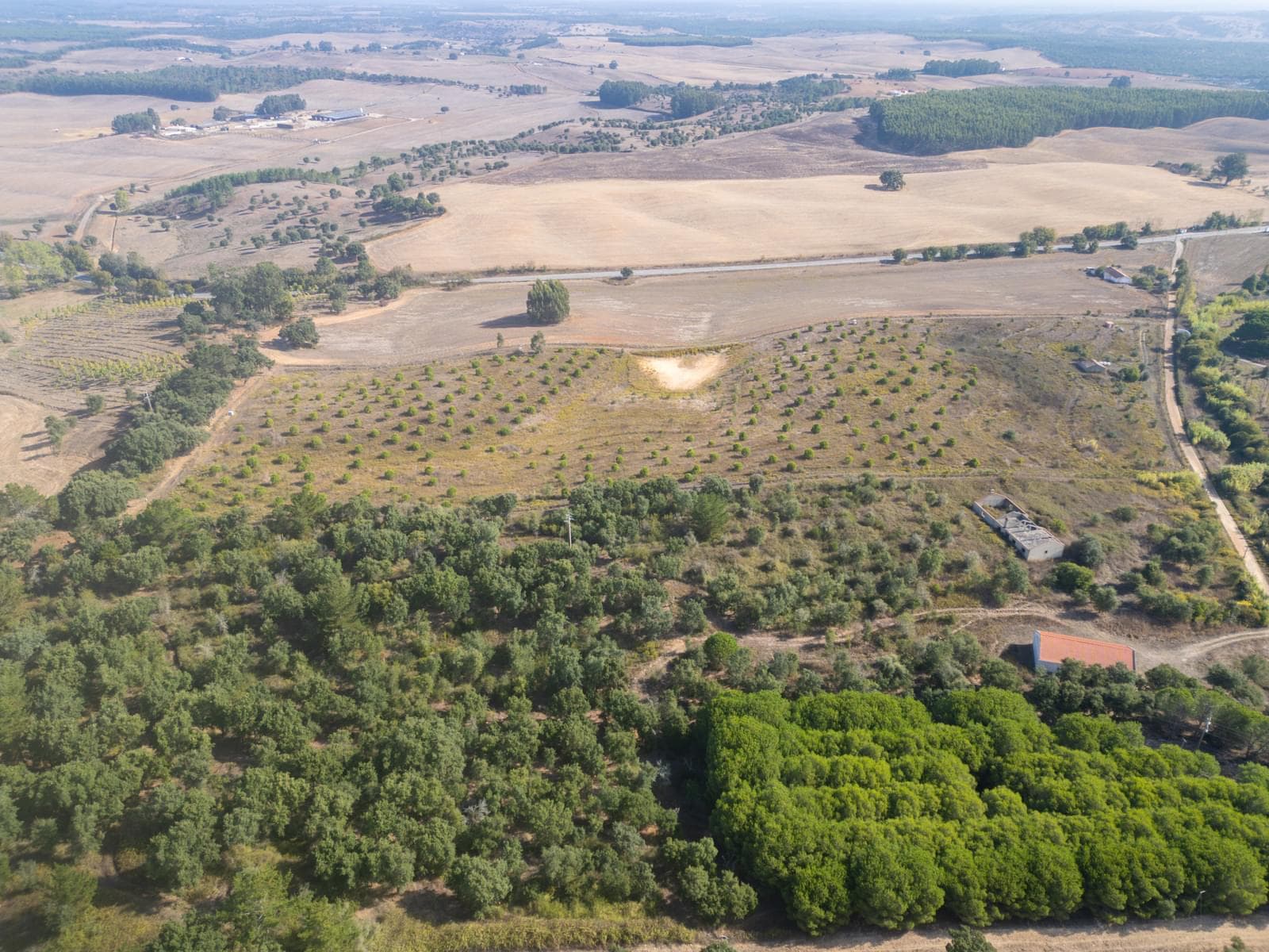 Terreno Misto 5.2 ha, Cercal do Alentejo, Santiago do Cacem - Imagem 4