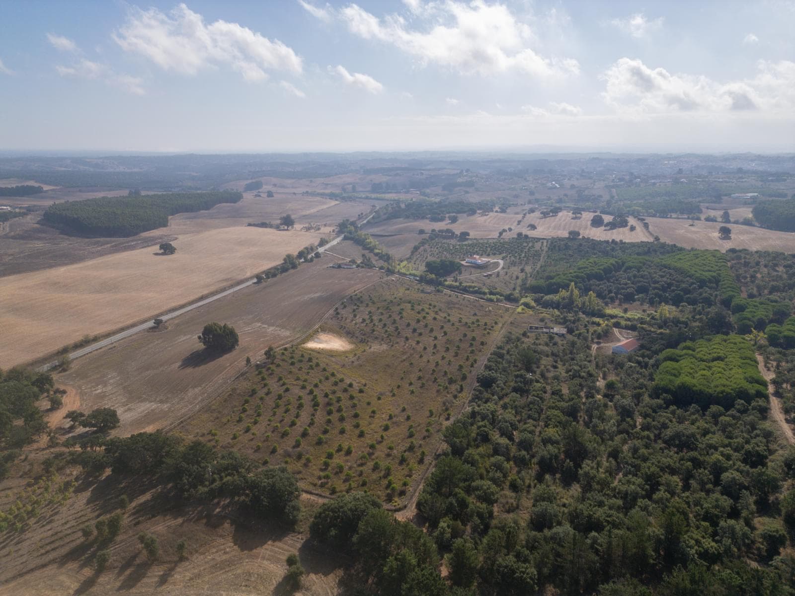 Terreno Misto 5.2 ha, Cercal do Alentejo, Santiago do Cacem - Imagem 55