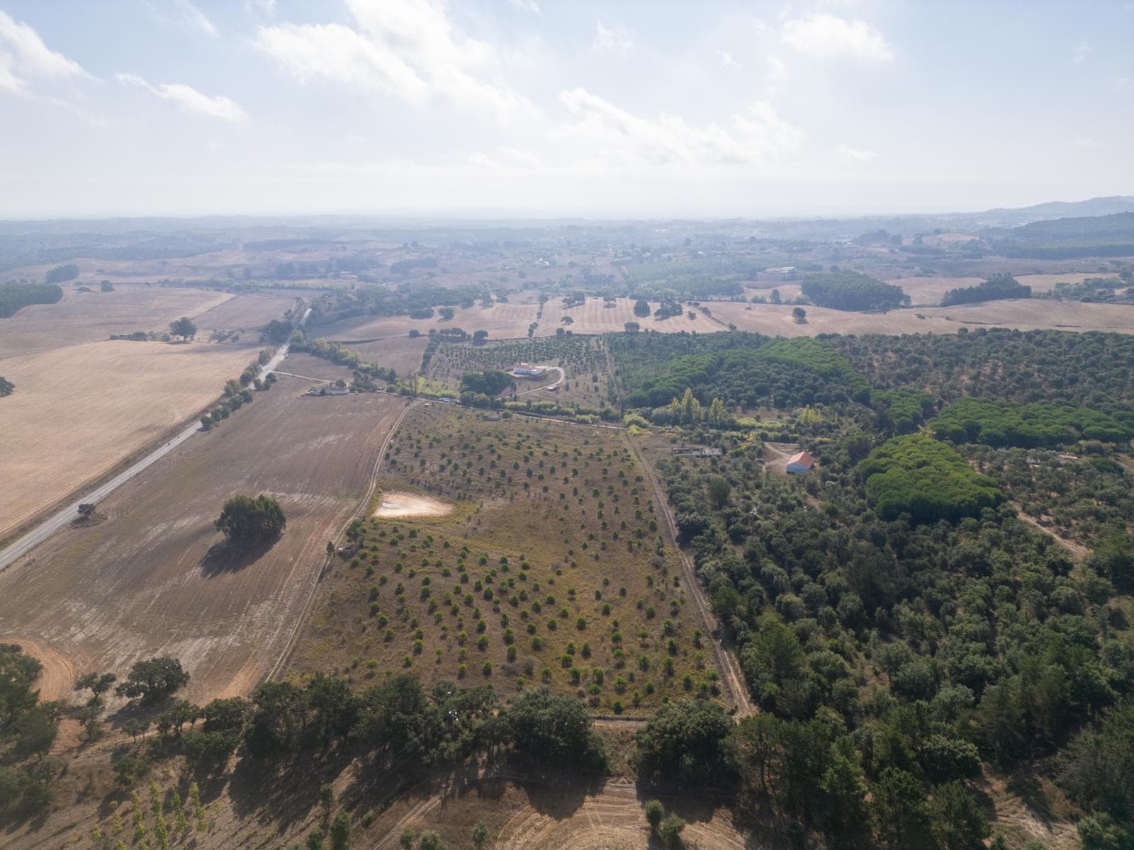 Terreno Misto 5.2 ha, Cercal do Alentejo, Santiago do Cacem - Imagem 59