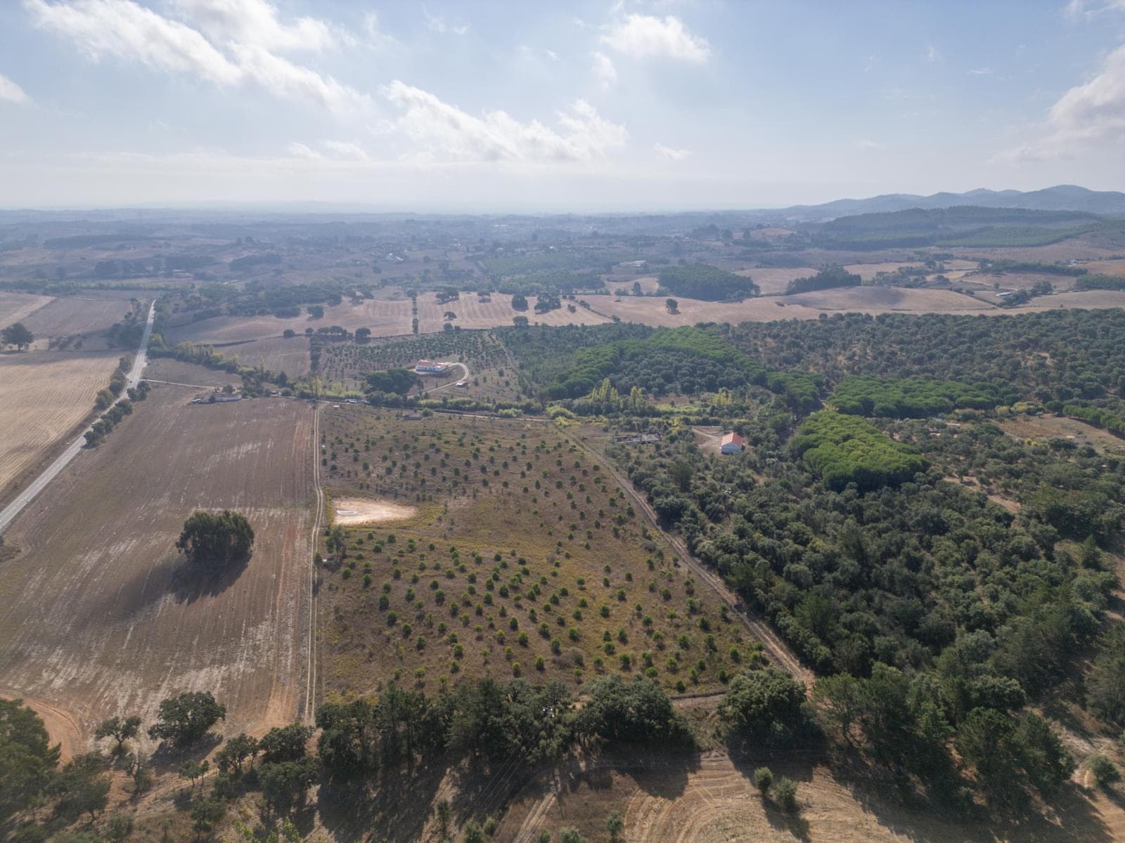 Terreno Misto 5.2 ha, Cercal do Alentejo, Santiago do Cacem - Imagem 57