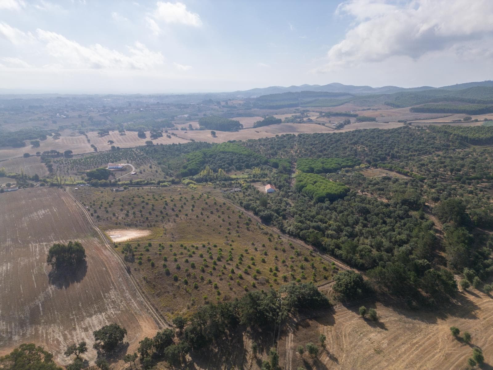 Terreno Misto 5.2 ha, Cercal do Alentejo, Santiago do Cacem - Imagem 63