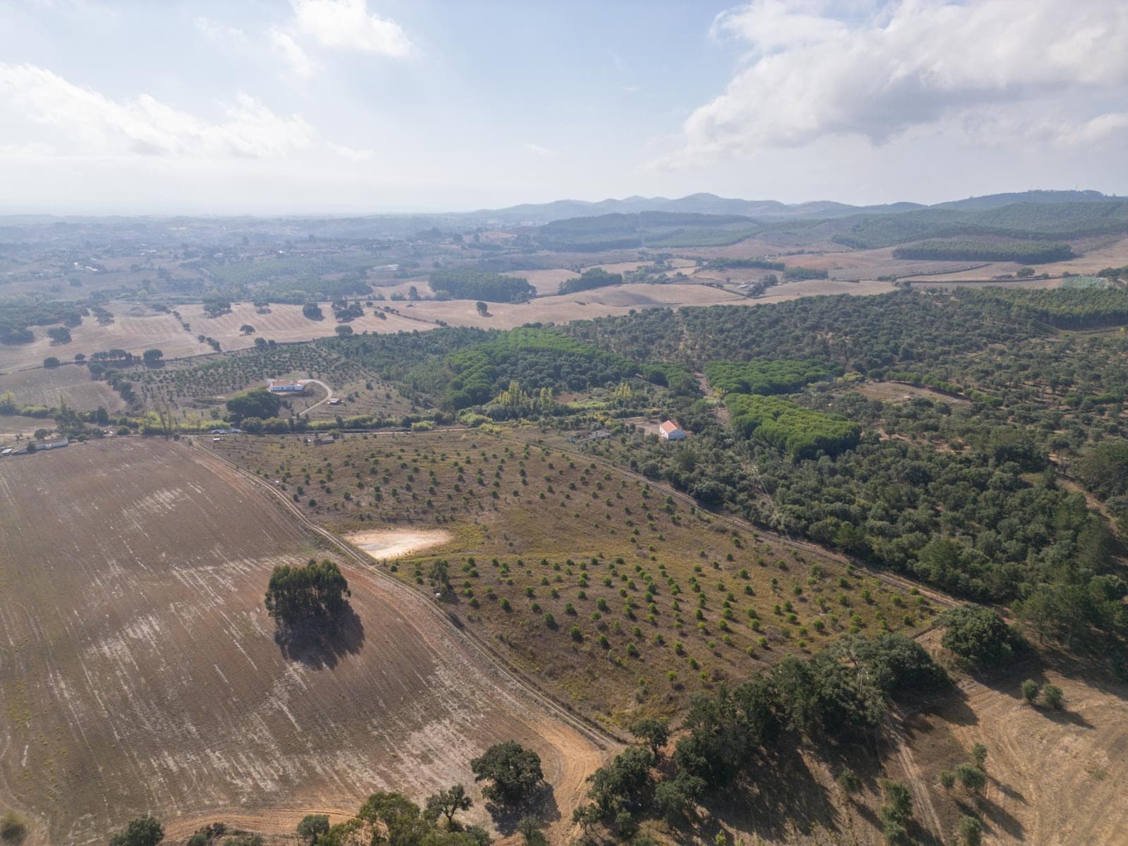 Terreno Misto 5.2 ha, Cercal do Alentejo, Santiago do Cacem - Imagem 61