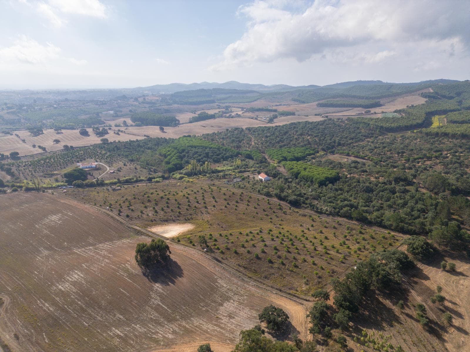 Terreno Misto 5.2 ha, Cercal do Alentejo, Santiago do Cacem - Imagem 56