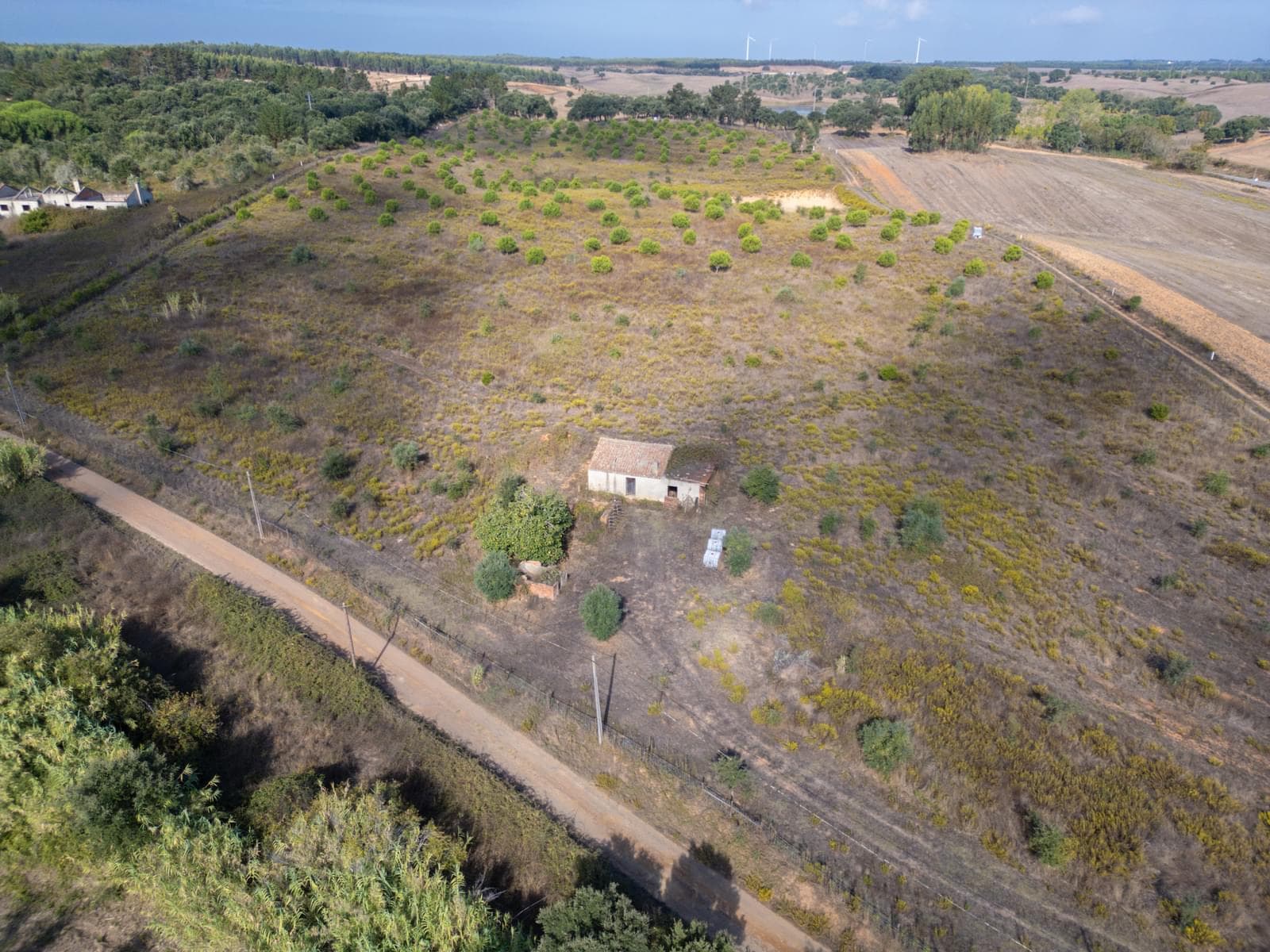 Terreno Misto 5.2 ha, Cercal do Alentejo, Santiago do Cacem - Imagem 12