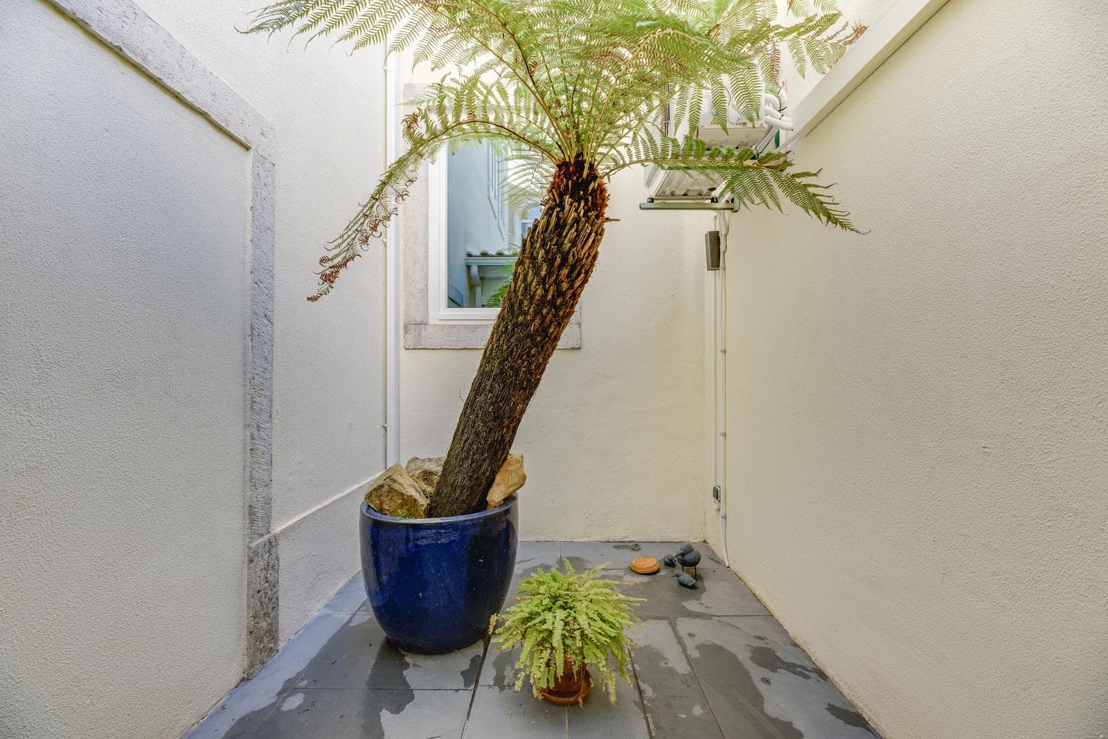 Moradia Isolada T5 + 1 com piscina, Monte Estoril, Cascais - Imagem 25