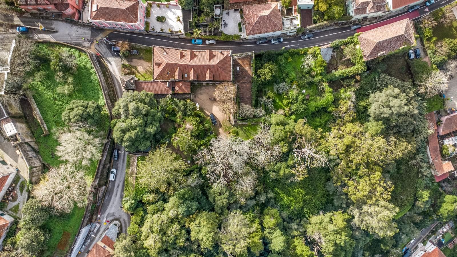 Ferme 1.9 ha, Sintra - Image 2