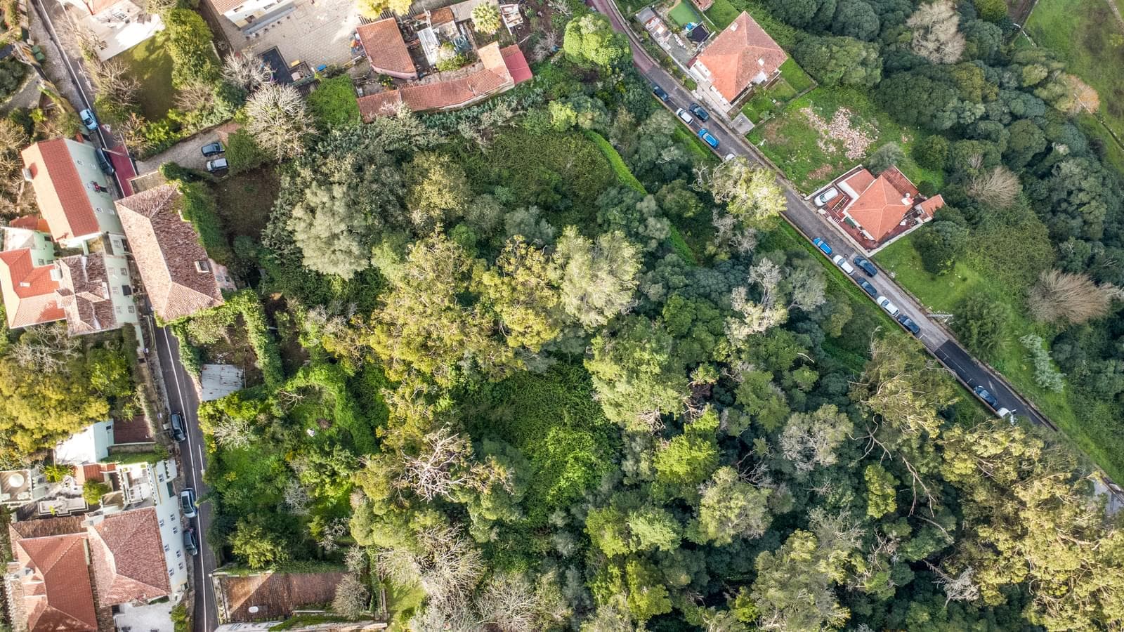 Ferme 1.9 ha, Sintra - Image 4