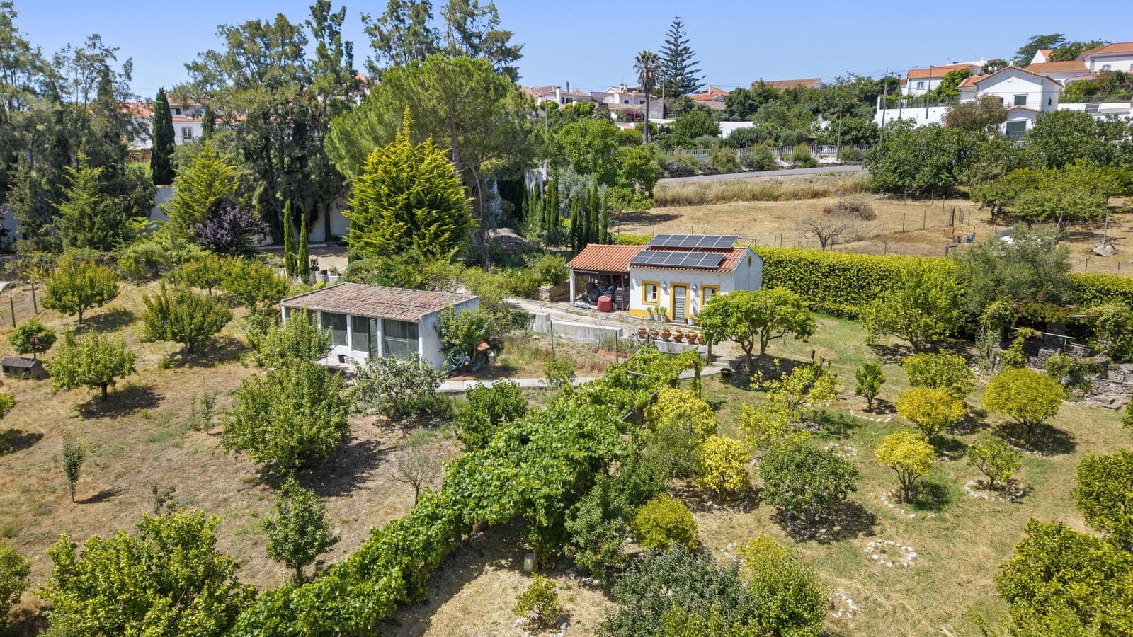 Quinta 4.2 ha, Torres Vedras - Imagem 39