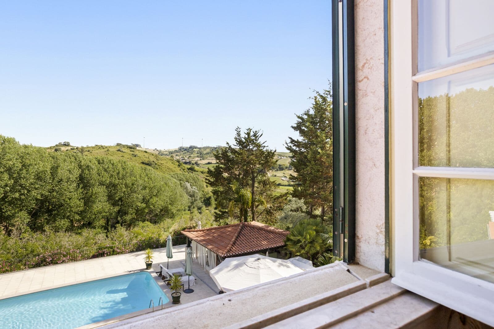 Quinta 4.2 ha, Torres Vedras - Imagem 15