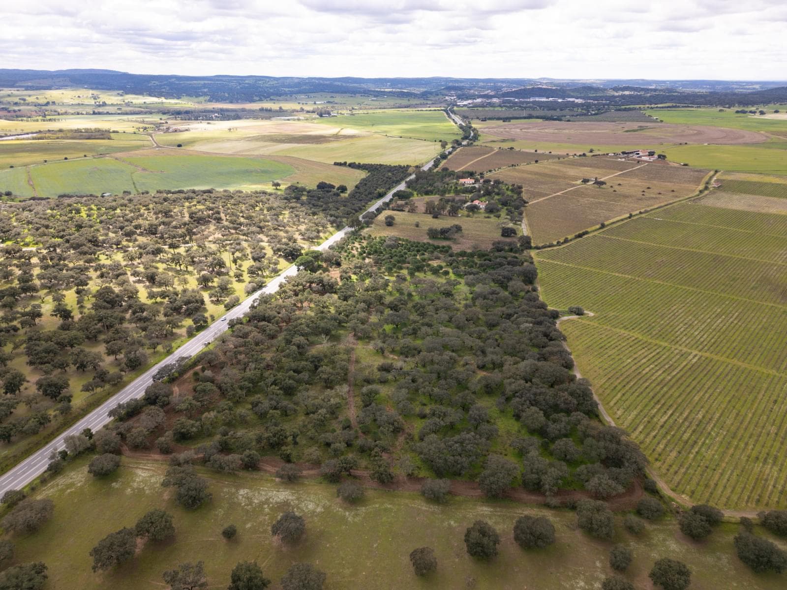 Terreno Rústico 7.5 ha, Quinta da Amoreira, Montemor-o-Novo - Imagem 7