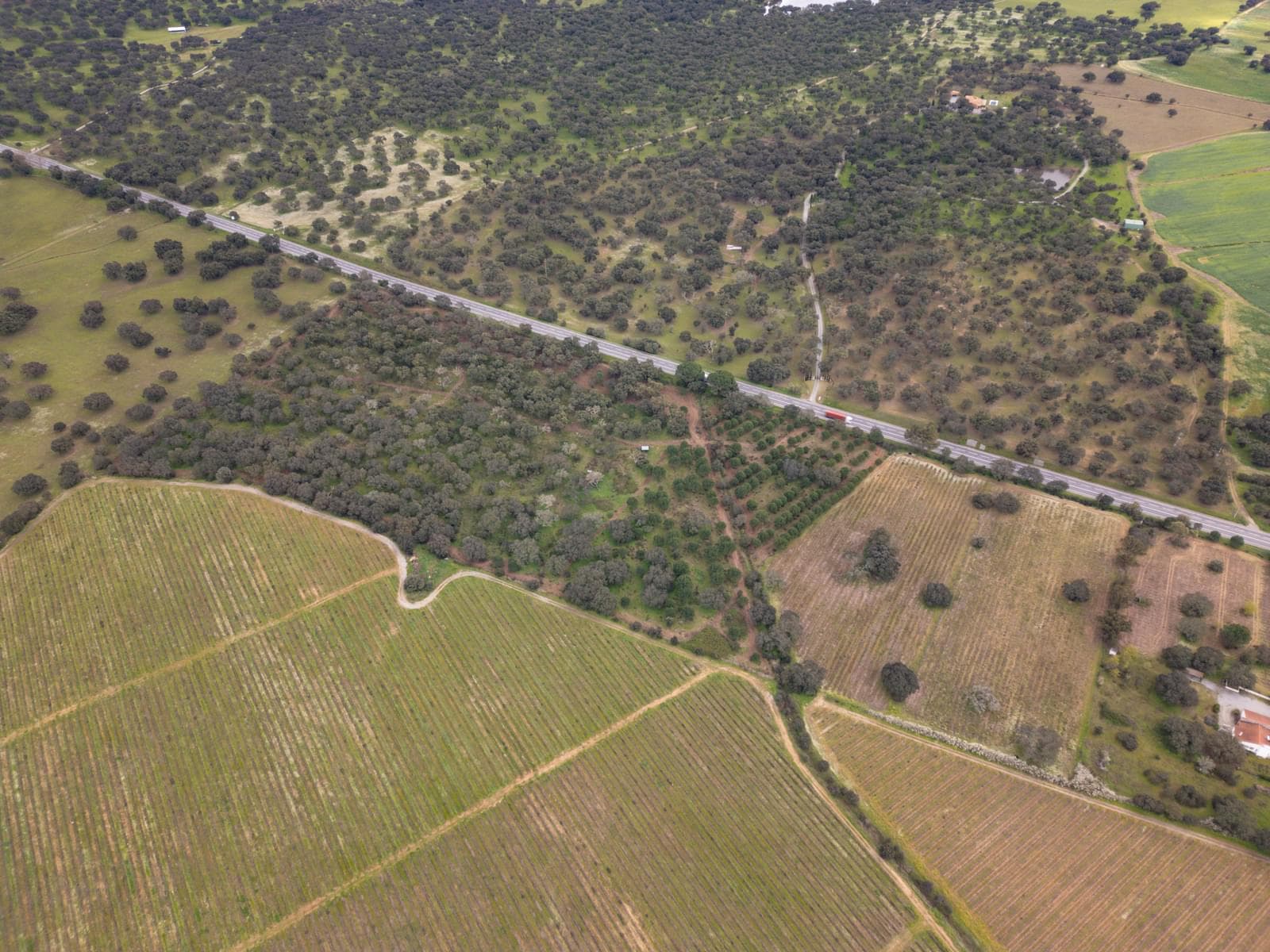 Terreno Rústico 7.5 ha, Quinta da Amoreira, Montemor-o-Novo - Imagem 18
