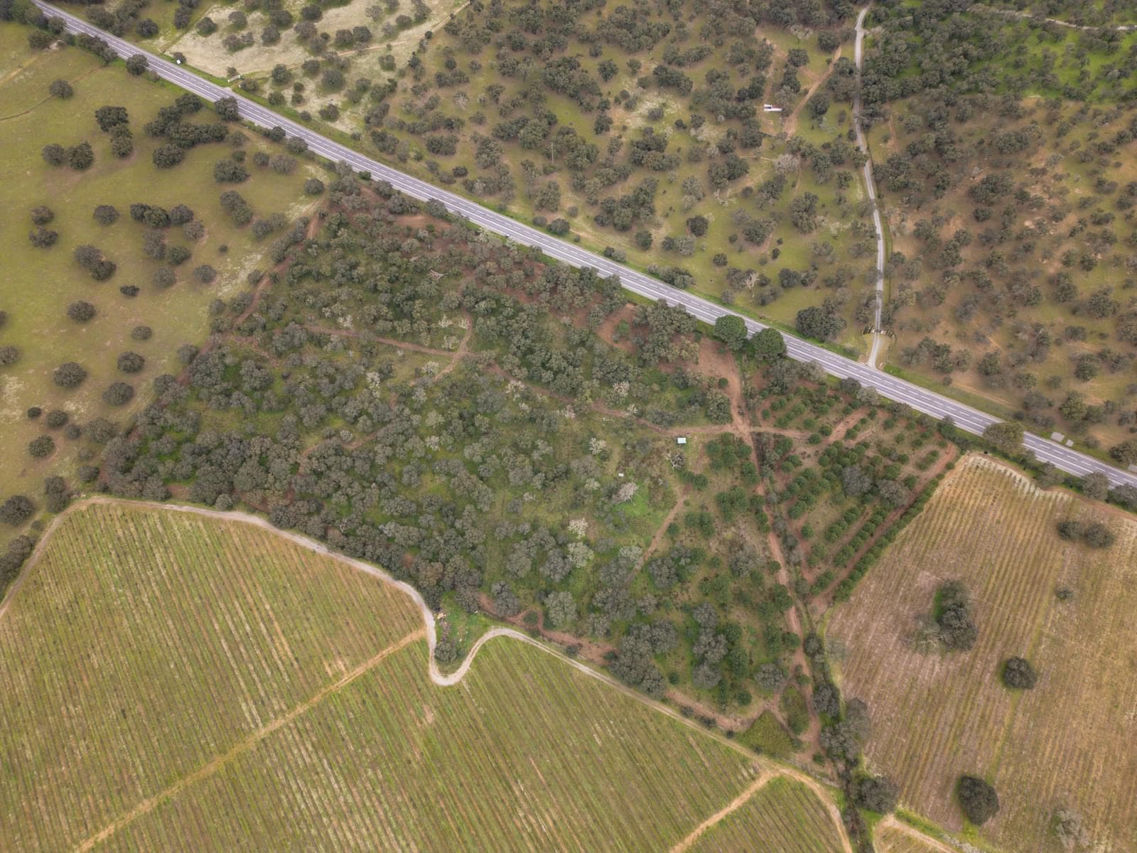 Terreno Rústico 7.5 ha, Quinta da Amoreira, Montemor-o-Novo - Imagem 19