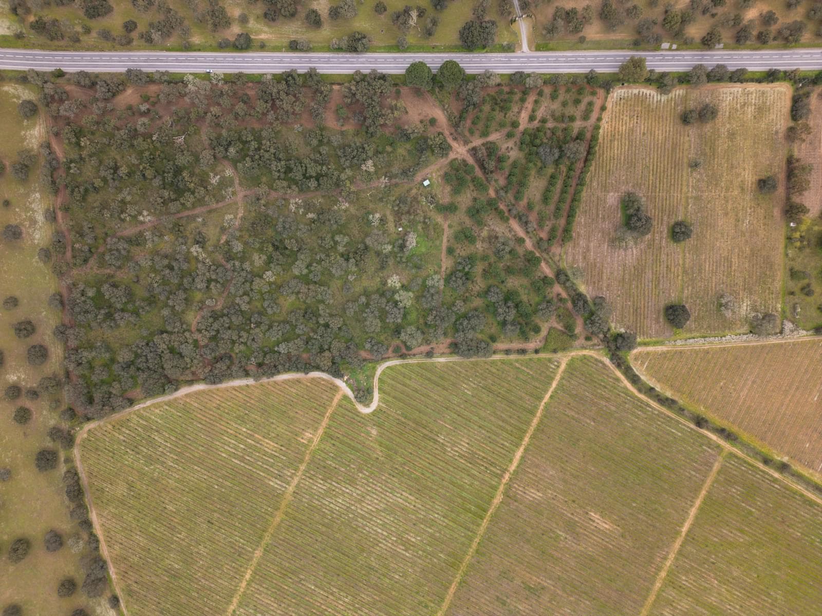 Terreno Rústico 7.5 ha, Quinta da Amoreira, Montemor-o-Novo - Imagem 20
