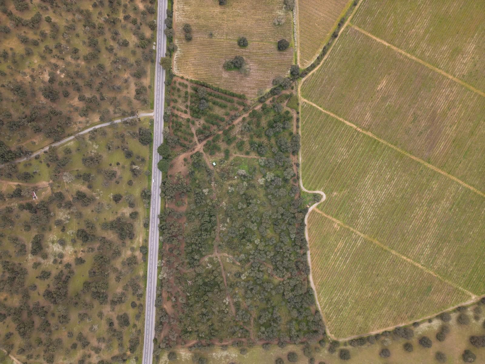 Terreno Rústico 7.5 ha, Quinta da Amoreira, Montemor-o-Novo - Imagem 22