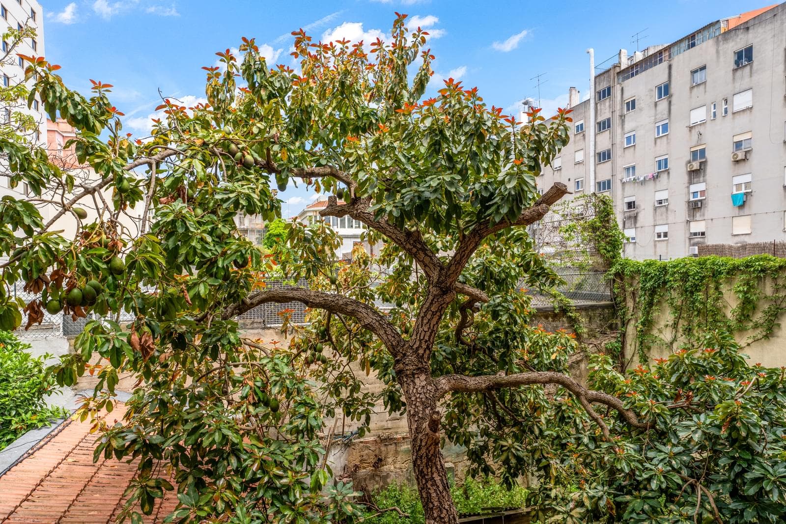 Apartamento T4 com varanda, Avenidas Novas, Lisboa - Imagem 26