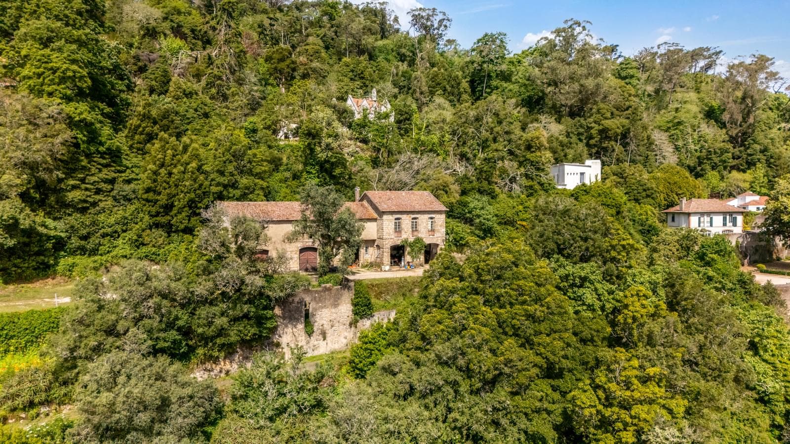 Quinta 5.9 ha, Sintra - Imagem 6