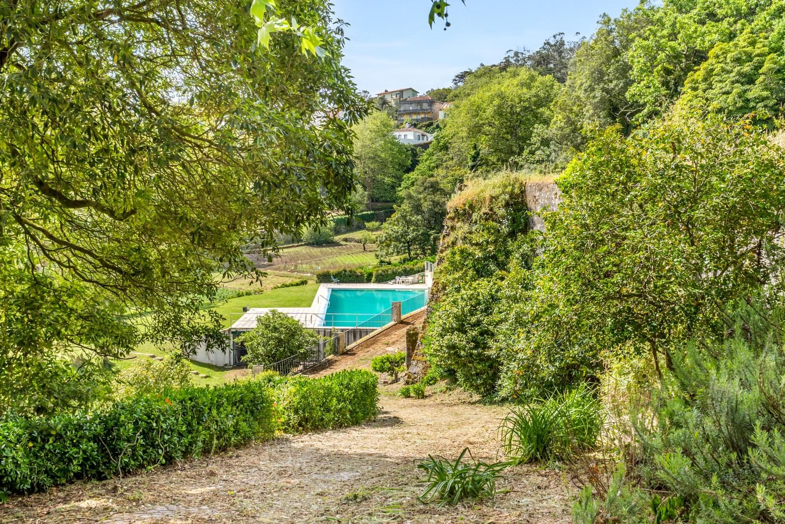 Quinta 5.9 ha, Sintra - Imagem 29