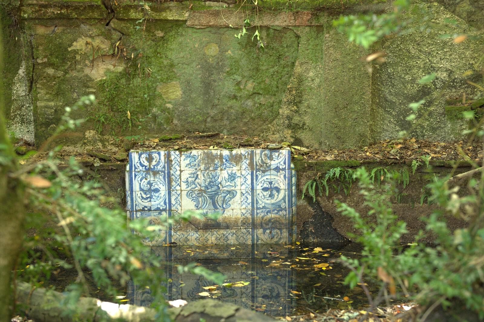 Quinta 103.2 ha, Portalegre - Imagem 33