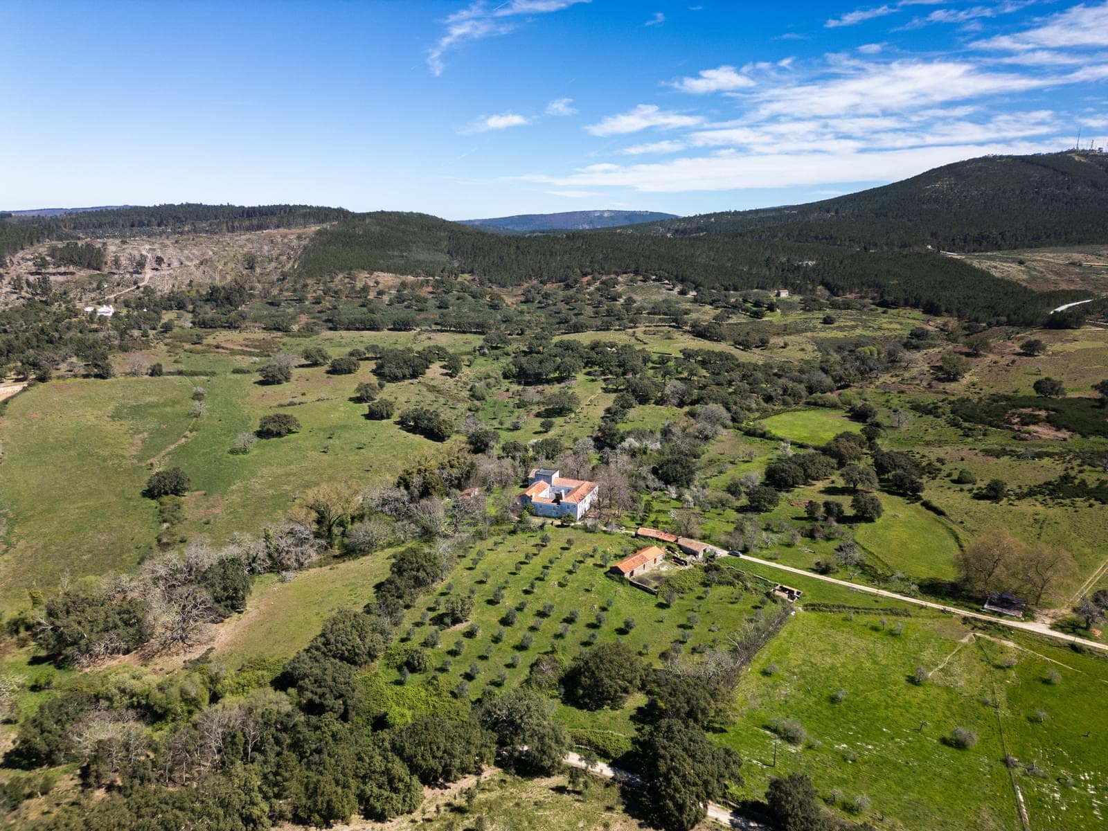 Quinta 103.2 ha, Portalegre - Imagem 16