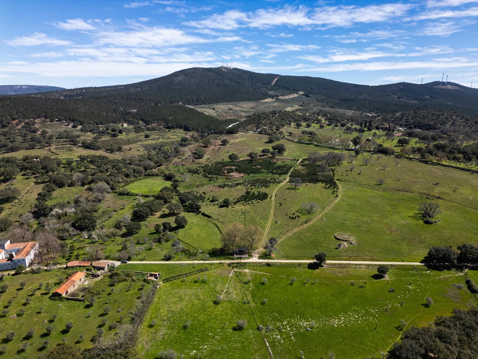 Quinta 103.2 ha, Portalegre - Imagem 20