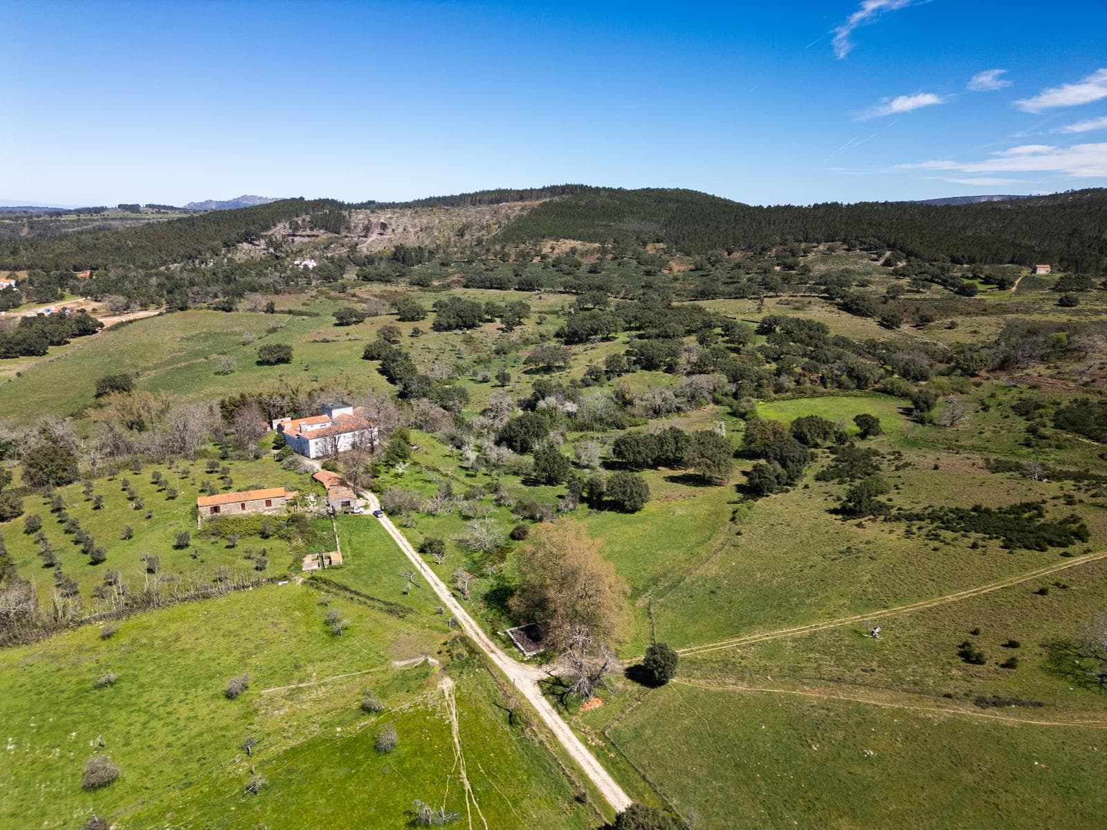 Quinta 103.2 ha, Portalegre - Imagem 1