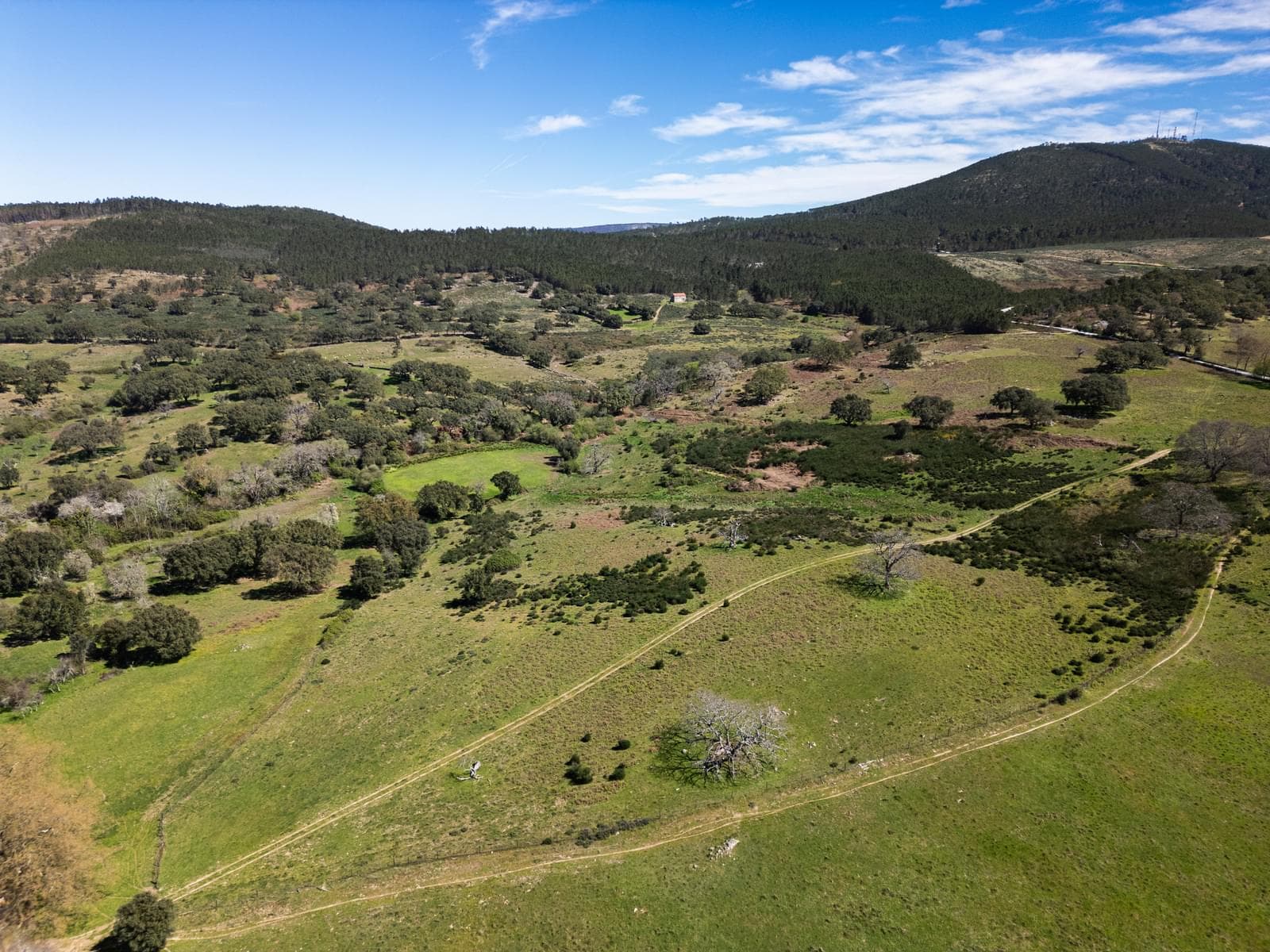 Quinta 103.2 ha, Portalegre - Imagem 22