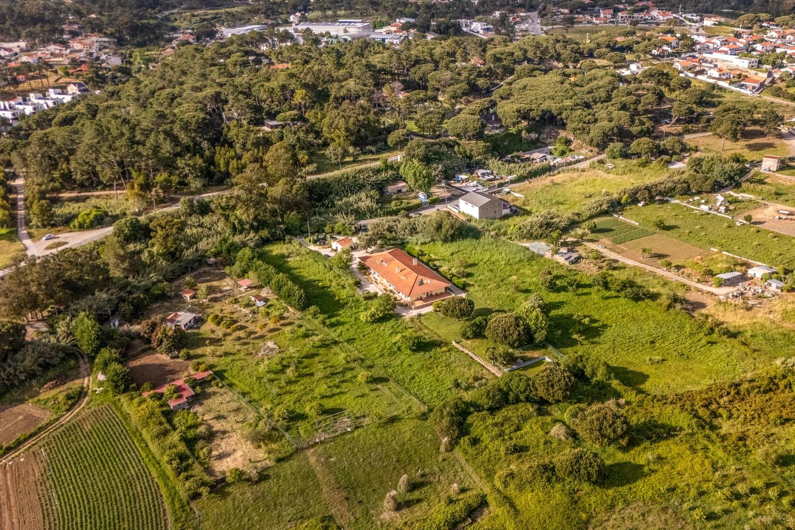 Herdade 1.4 ha, Mucifal, Sintra - Imagem 6
