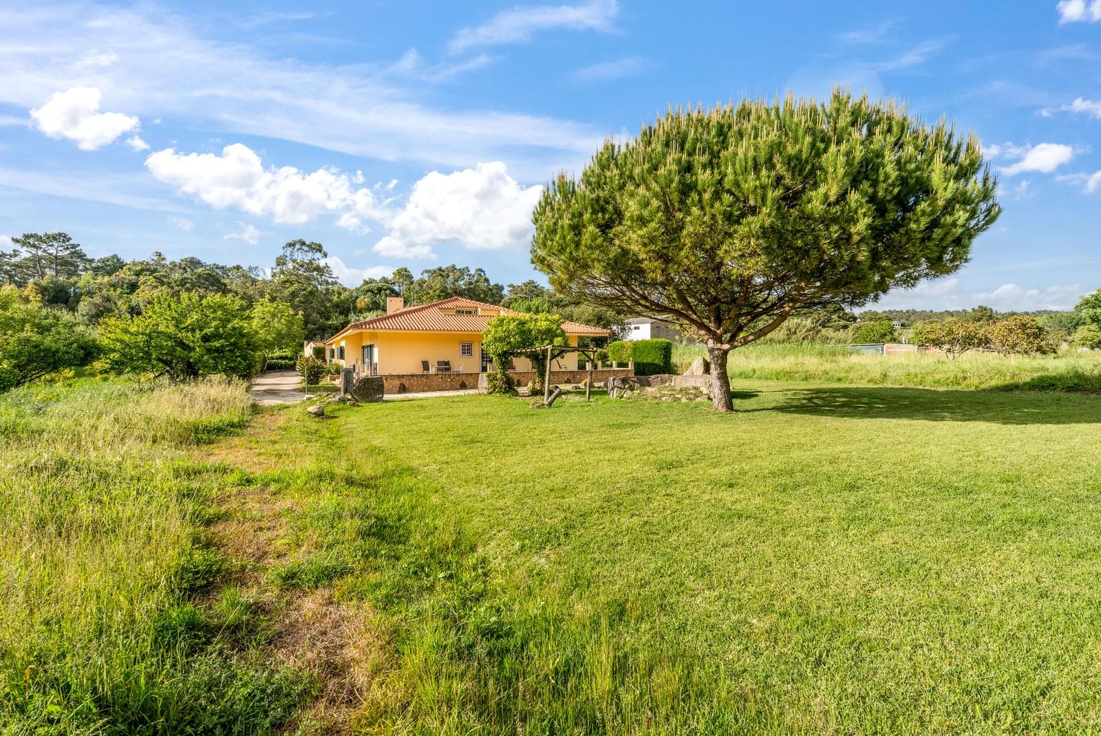 Herdade 1.4 ha, Mucifal, Sintra - Imagem 12