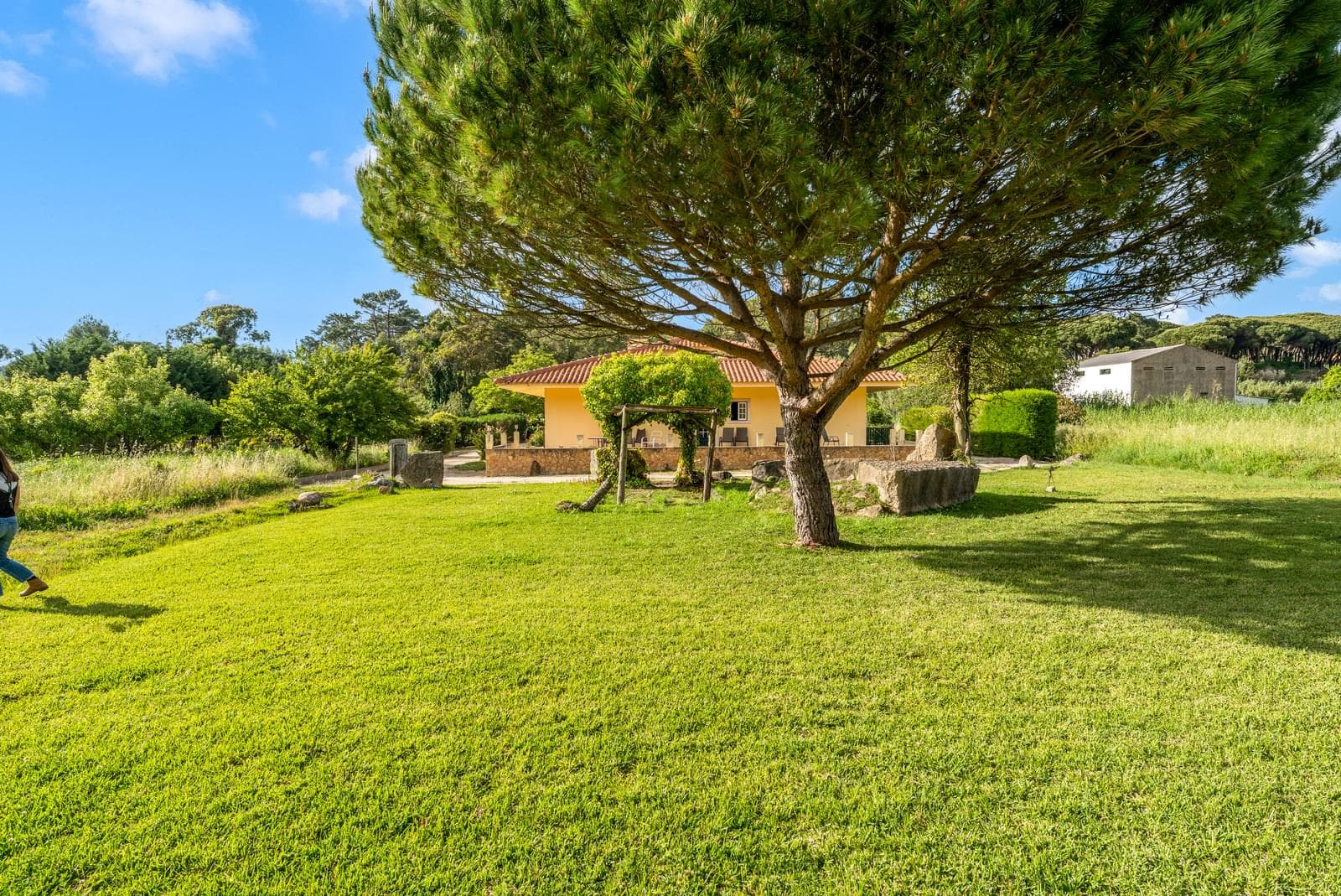 Herdade 1.4 ha, Mucifal, Sintra - Imagem 13