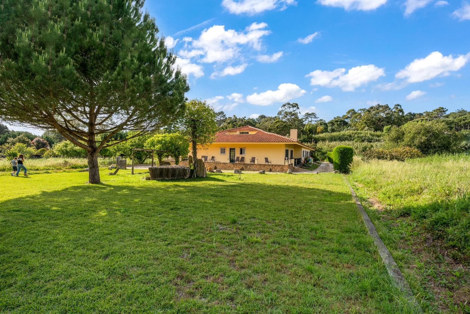 Herdade 1.4 ha, Mucifal, Sintra - Imagem 14