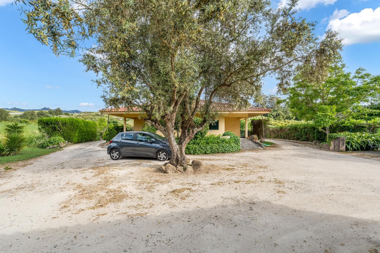 Herdade 1.4 ha, Mucifal, Sintra - Imagem 18