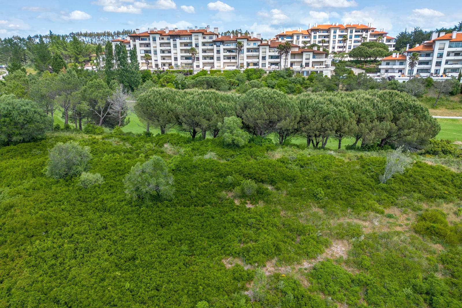 Terreno Urbano 5430 m2, Belas Clube de Campo, Sintra - Imagem 15