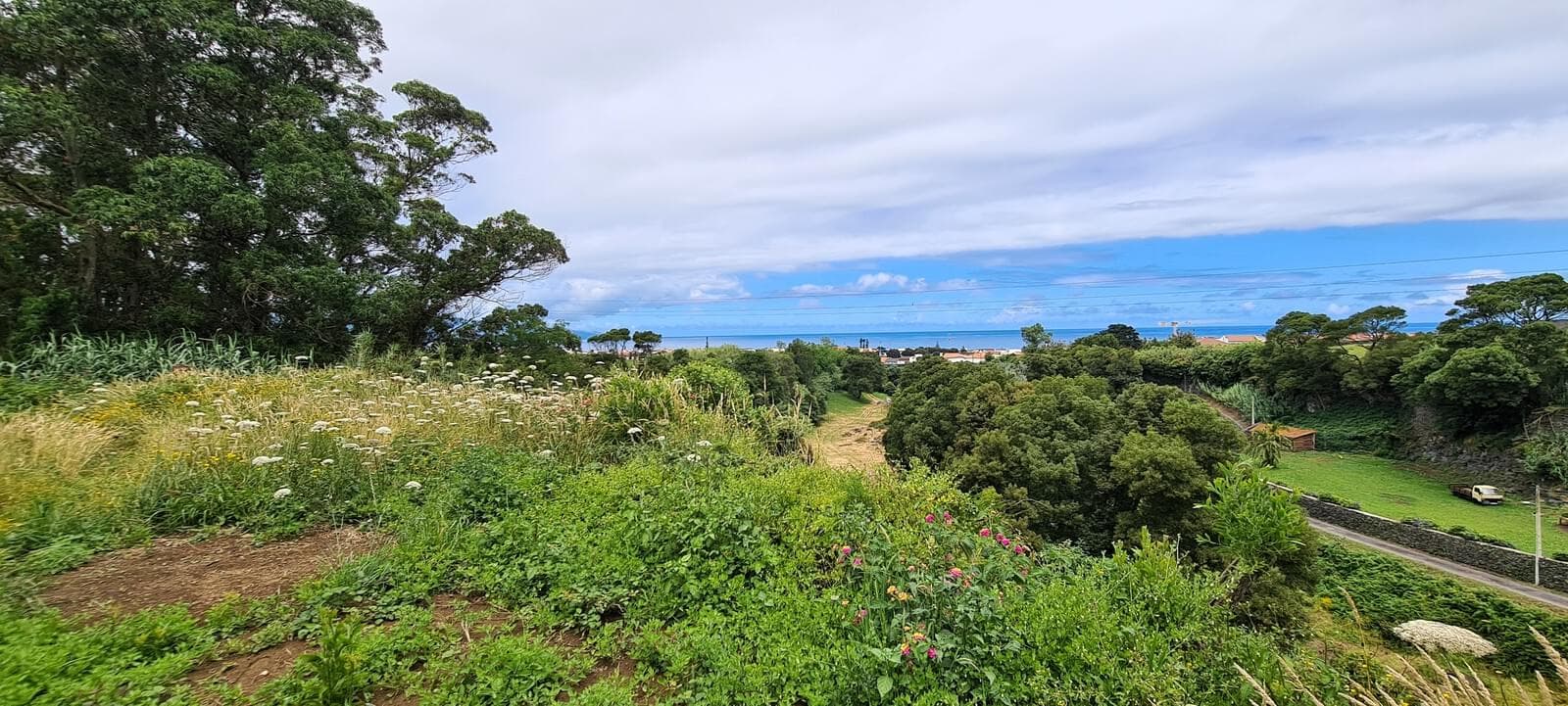 Mãe de Água - Ilha de São Miguel - Imagem 24