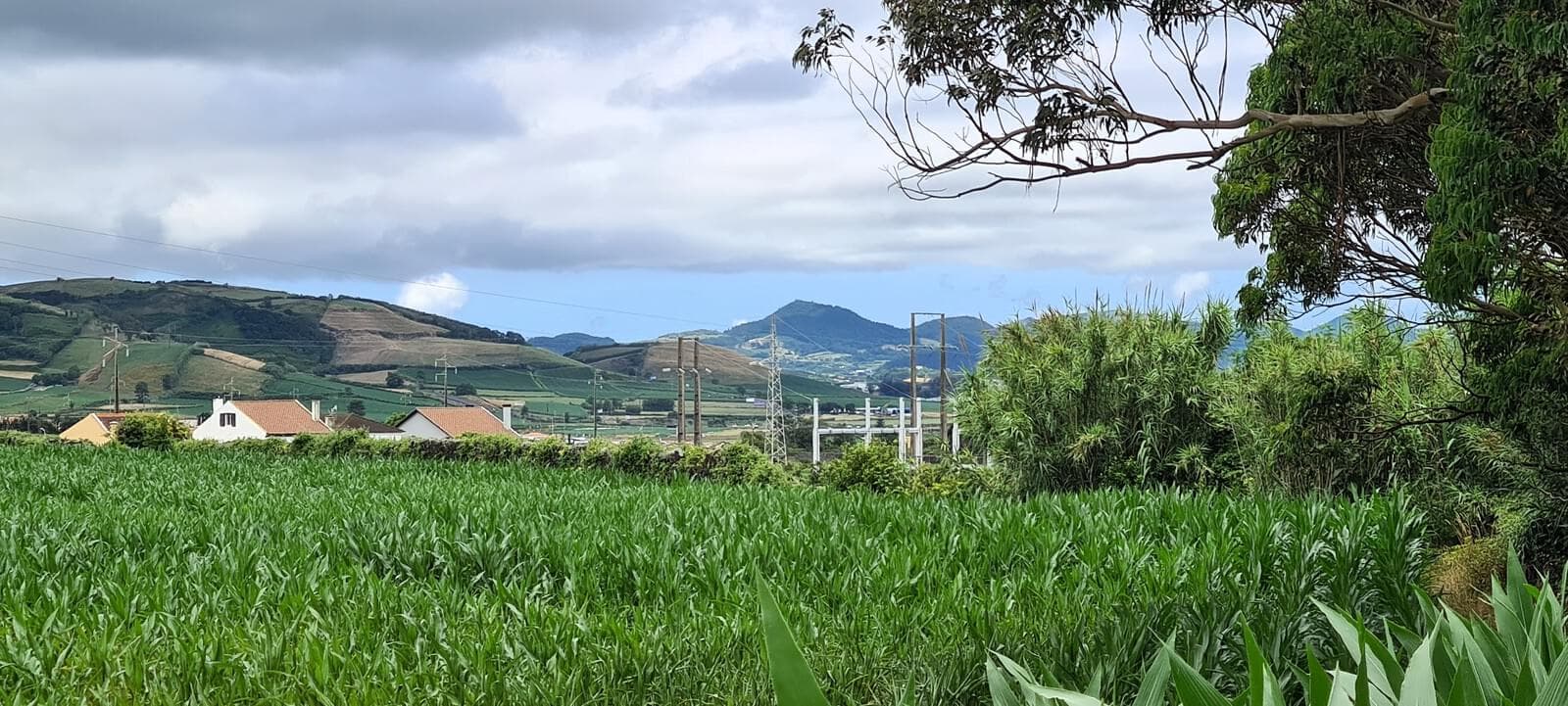 Mãe de Água - Ilha de São Miguel - Imagem 29