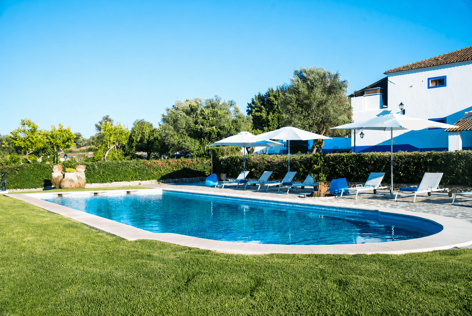 Quinta 13.9 ha, Alcáçovas, Viana do Alentejo - Imagem 59