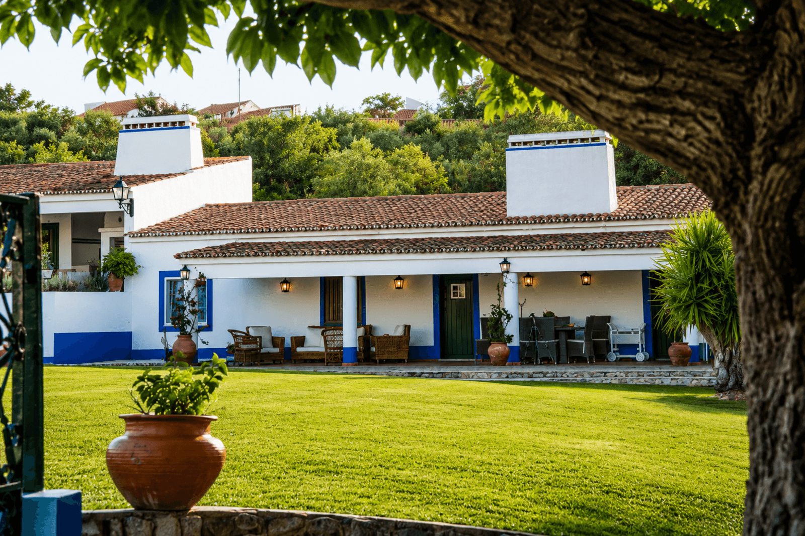 Quinta 13.9 ha, Alcáçovas, Viana do Alentejo - Imagem 46