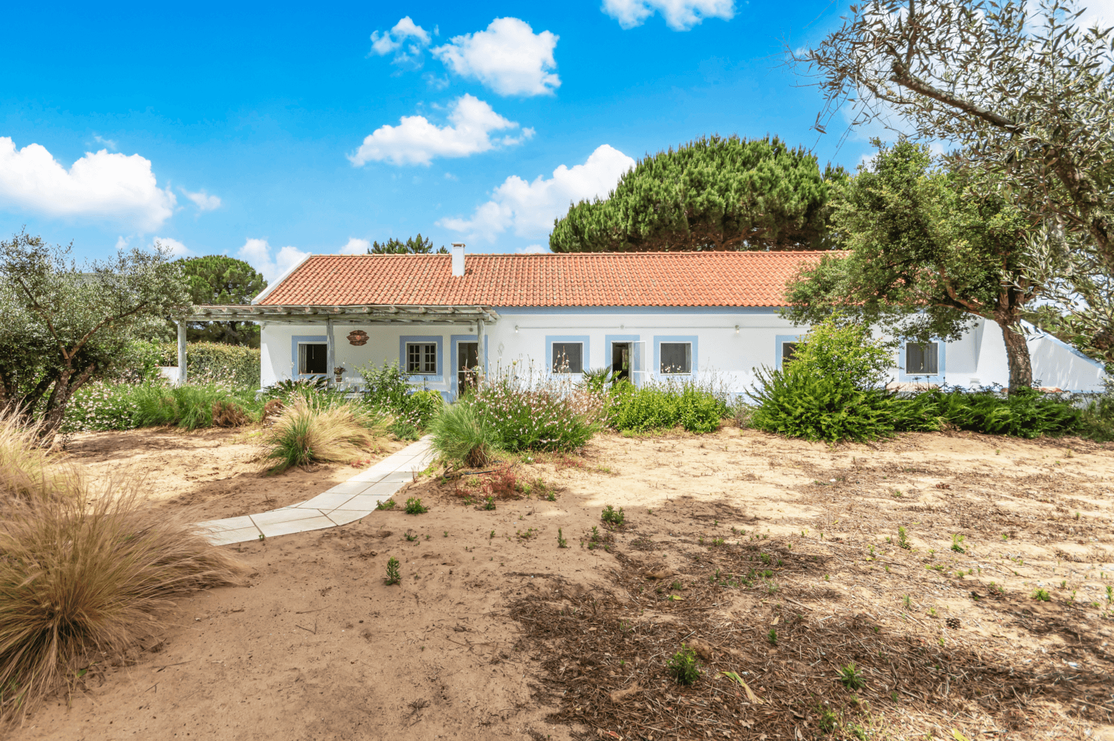 Farm 4.6 ha, Melides, Grândola - Image 7