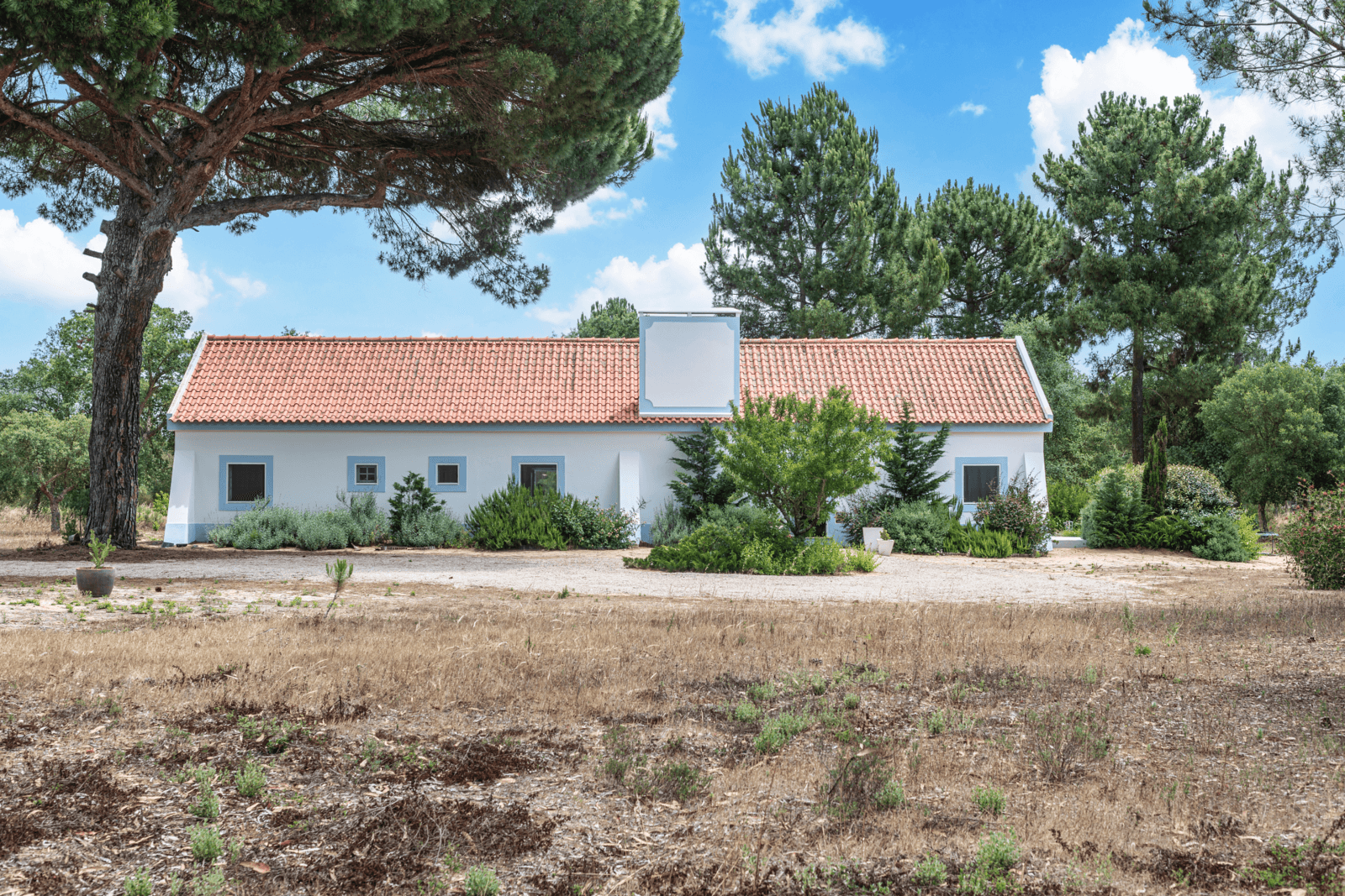 Farm 4.6 ha, Melides, Grândola - Image 3