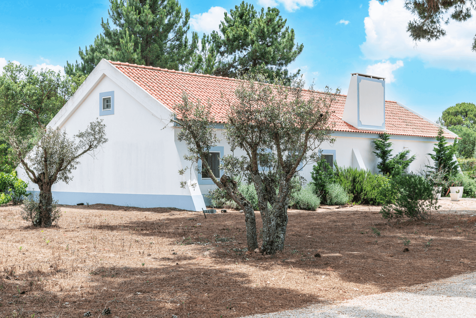 Farm 4.6 ha, Melides, Grândola - Image 6