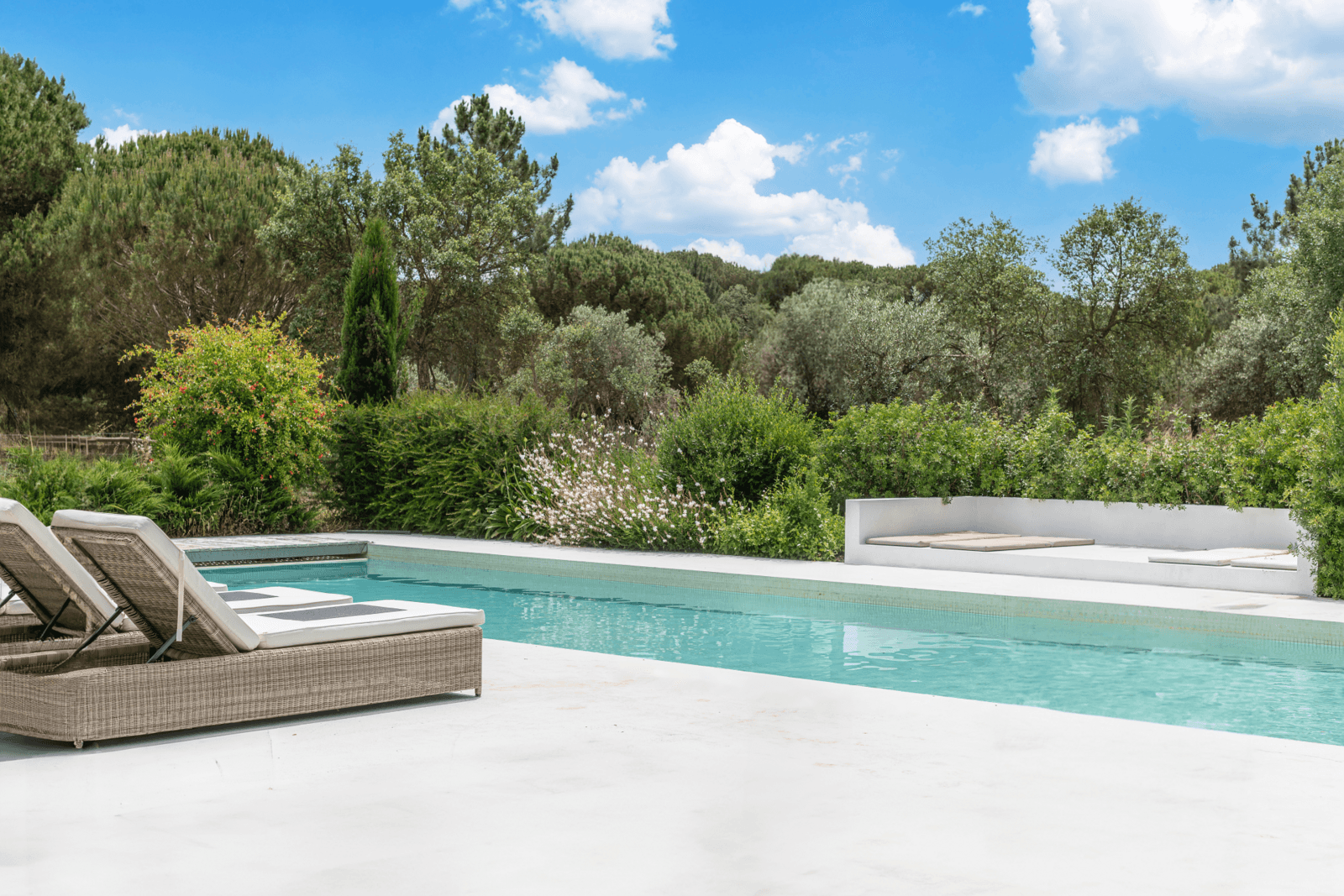 Farm 4.6 ha, Melides, Grândola - Image 47