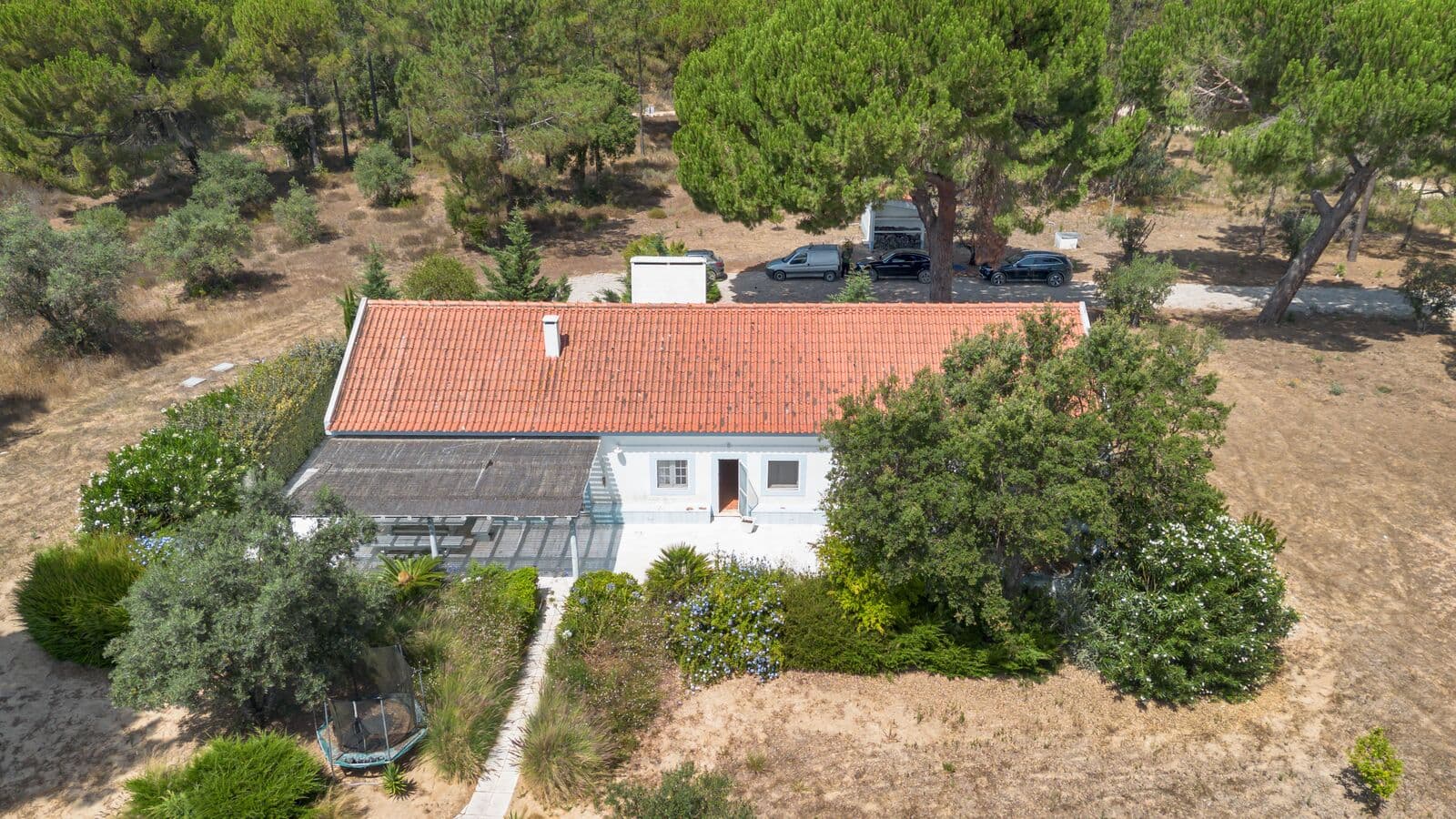 Ferme 4.6 ha, Melides, Grandola - Image 5