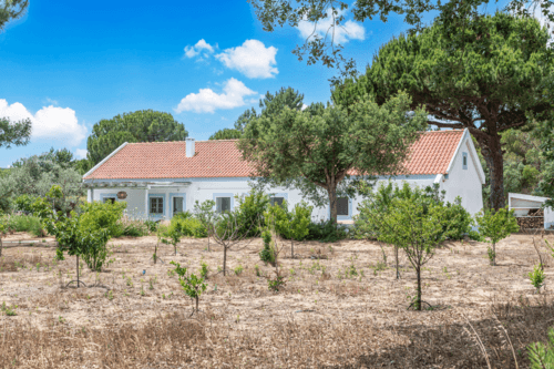 PF40998 - Quinta 4.6 ha, Melides, Grandola - Imagem 4